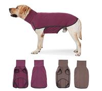 - Échec de l'analyse - Échec de l'analyse : Aucun Contenu en Anglais n'a été détecté dans Les Paragraphes 1, 2, 3, 4 et 5.