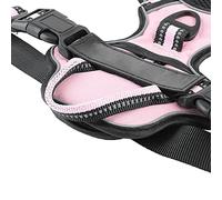 - Échec de l'analyse - Échec de l'analyse : Seuls 196 Paragraphes de Contenu Ont été détectés, Veuillez saisir exactement (M)