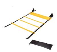 Échelle D’Agilité Échelle d'exercice Agile, vitesse, Fitness, Coordination corporelle, Football, ceinture en Nylon réglable, échauffement, outil d'échelle de saut Échelle De Rythme(6m 12 sections)