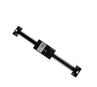 Échelle de lecture numérique de Type Vertical, mesure linéaire de fraisage 100mm 150mm 200mm 300mm(0-100)