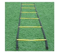 Échelle de Rythme échelle De Formation à L'agilité Fixe, équipement De Formation De Vitesse, équipement De Sport à échelle De Remise En Forme De Remise En Forme, Plusieurs Modèles Sont Disp(Size:3.4M)