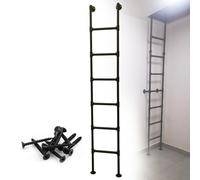 Échelle de secours métallique de 100 à 300 cm pour puits de lumière, échelle de sécurité robuste pour grenier, camion, bateau, échelle droite universelle pour grenier, dortoir, bibliothèque, lit sup