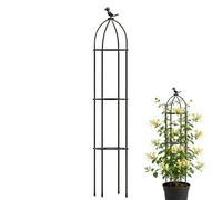 Échelle de Vigne en métal - Montant de Verdure feuillu, Support clématite Rose, Grille d'escalade légumes, Extension Lierre en Pot, matériel jardinière Moderne, Ferme Patio Sombre Acier Minimaliste
