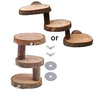 Échelle en bois 3/5 couches pour hamster, pont, escalier d'escalade, perchoirs, cage à perroquet, échelle jouet