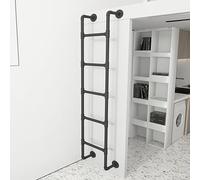 Échelle murale en métal pour escalade d'urgence et intérieur ou extérieur, taille personnalisable, capacité de charge de 150 kg