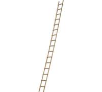 Echelle plate de toit RICHOMME 5.00 m écart.33 cm - B3150033