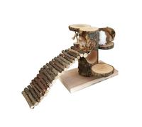 Échelle pour hamster offrant un espace sûr et passionnant pour grimper et explorer la plate-forme de glisseurs en sucre avec échelle avec escalier