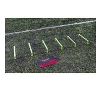 Échelle Precision Pinnacle 2 m