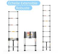 Échelle télescopique - DAYPLUS - 2,6 m - Acier inoxydable - Pliable - Verrouillage à boutons de pouce