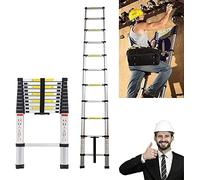 Échelle télescopique en acier inoxydable - 2,6 m - Antidérapant - Extensible - Charge maximale : 150 kg - EN131