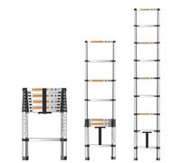 Échelle télescopique en acier inoxydable de 3,2 m - Échelle extensible avec 11 échelons - Echelle polyvalente - Charge maximale : 150 kg
