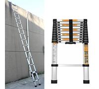 Échelle télescopique en acier inoxydable de 3,8 m, antidérapante, extensible, échelle pour plafonds, 13 marches, facile à transporter, capacité de charge 150 kg