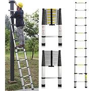 Échelle télescopique Extensible de 2,6 m - Échelle télescopique en Acier Inoxydable -Échelle Extensible Robuste - Échelle Multifonction avec 9 barreaux - Charge maximale : 150 kg - EN131