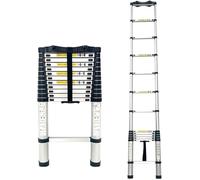 Échelle télescopique Extensible en Aluminium pour Grimper aux Arbres, Portable, Multi-Positions, pour extérieur, Industriel, loft, Usage Professionnel, capacité de Charge de 150 kg