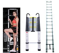 Échelle télescopique Pliable avec 2 Crochets, échelle coulissante de 4,4 m, échelle légère Extensible, Portable, Polyvalente, capacité de Charge de 150 kg Argenté