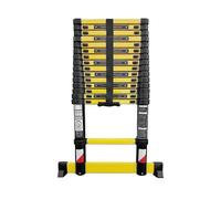 Echelle télescopique WOERTHER GRAFITEK ECH-5M20-G-P1 5m20 (avec housse)