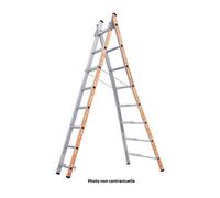 Little Jumbo 1201252010 Échelle De Réforme Type 1242/010 - 2x10 Niveaux - Avec Arbres Pliés