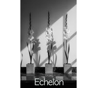 Echelon