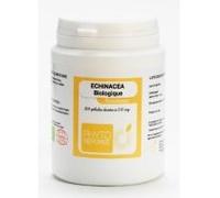 Echinacea Bio 200 Gelules Phytoreponse