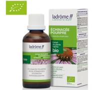 Échinacée Pourpre Bio - Défenses Immunitaires Teinture-Mère Echinacea Purpurea 100 Ml - Ladrôme
