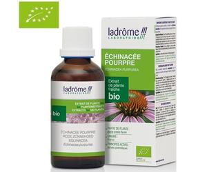 Échinacée Pourpre Bio - Défenses Immunitaires Teinture-Mère Echinacea Purpurea 100 Ml - Ladrôme