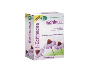 Echinaid Haute Puissance 60Cps