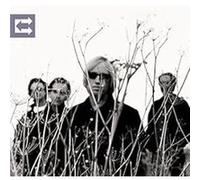 Tom Petty and the Heartbreakers Echo (Vinyl) 12" Album