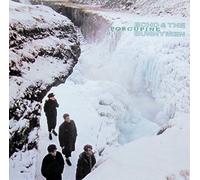 Echo and The Bunnymen - Porcupine [Import]
