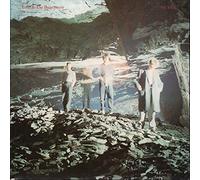 ECHO AND THE BUNNYMEN - SILVER 7 INCH (7" VINYL 45) UK KOROVA 1984