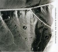 Echo Passage by Vidna Obmana, Alio Die (2007-07-16)