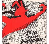 ECHO & THE BUNNYMEN - ECHO & THE BUNNYMEN - THE PICTURES ON MY WALL 7in (30724)