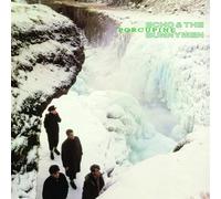 Echo & The Bunnymen – Porcupine