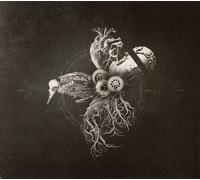 Your Life on Hold - Echoes from The Bardo [Import]