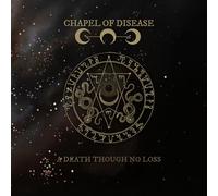 Echoes of Light