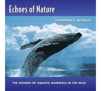 Echoes of Nature - Humpback Whales
