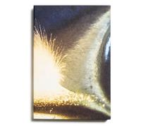 Echoes of nature - Manuela Marques - Loco - broché - Beau livre