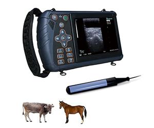 Échographe vétérinaire portable pour chien de cochon, mouton, testeur de grossesse portable avec sonde étanche