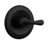 ECHOLEAF Compatible avec Le kit de poignée Foundations série 13 for robinetterie de Douche, kit de Garniture de vanne monofonction en Acier Inoxydable BT13(Black)