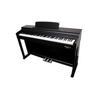 ECHORD DPX 100 (noir)