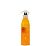 ECHOS LINE Argan Bi-Phase Après-shampoing - Conditionneur protecteur Echosline pour cheveux sensibles, traités et dévitalisés, sans rinçage, 300 ml