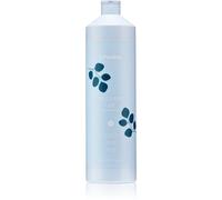 Echosline Frequent Conditioner après-shampoing à usage quotidien 1000 ml