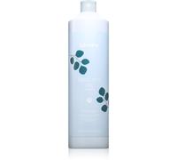 Echosline Frequent Shampoo shampoing usage quotidien 1000 ml