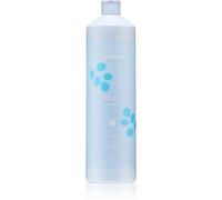 Echosline Volume Shampoo shampoing pour donner du volume aux cheveux fins 1000 ml