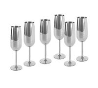 ECHTWERK Ensemble de 6 coupes à champagne en acier inoxydable, édition argentée, 250 ml, 22,5 x 6,3 cm, EW-CG-1792