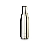 ECHTWERK Gourde Shiny, édition argent, bouteille thermos, bouteille isolante, sans BPA, anti-fuite, bouteille pour le sport/l'université/l'école/l'extérieur, 500 ml