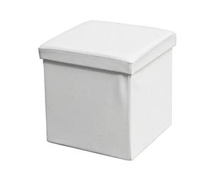ECHTWERK Pouf, Storecube, Pouf rembourré avec Espace de Rangement, Boîte de Rangement Pliable, Tabouret de Pied, Pliable, Fonction de Table d'appoint, Couvercle Amovible, Environ 38 x 38 x 38 cm