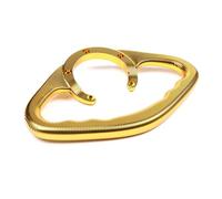 ECKBRJA Accoudoir pour Z750 Z800 Z900 Z1000 Z1000R ZX1100 ZZR1200 Poignées Passager Moto Poignées Barre D'appui Réservoir Poignée Maintien Passager Moto(Or)