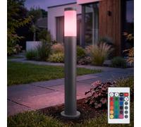 Éclairage Allée Chemin Außenstehlampe Jardin Dimmable Télécommande RGB LED H