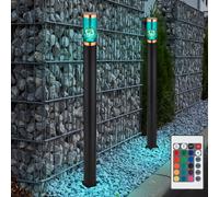 Lampadaire LED borne lumineuse chemin d'éclairage dimmable avec télécommande lampes de jardin noir, changement de couleur RVB acier inoxydable cuivre, 8,5W 806lm blanc chaud, DxH 12,7x110cm, lot de 2