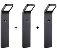 Éclairage d'allée Paulmann 4064161325989 LED 22.5 W anthracite